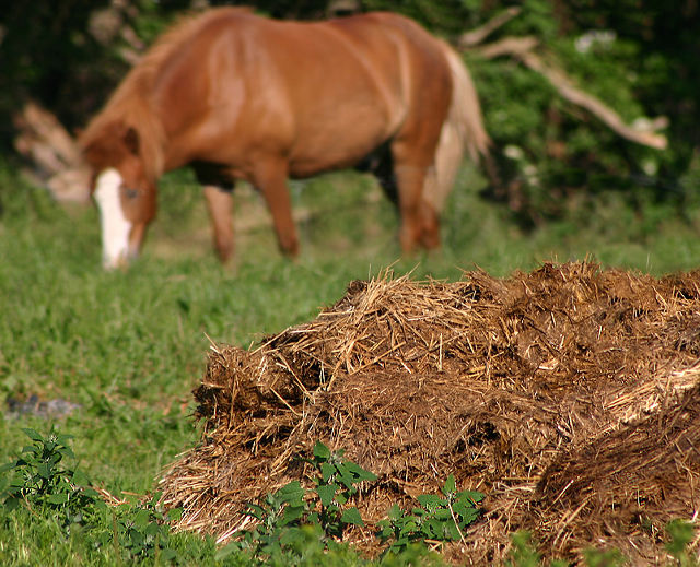 Healthy Farm, Healthy Watershed