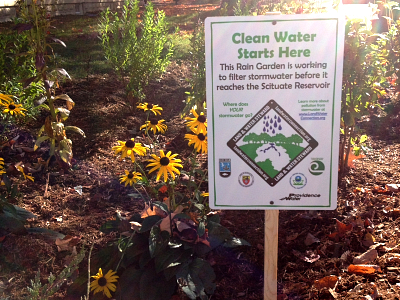 Urban Rain Garden